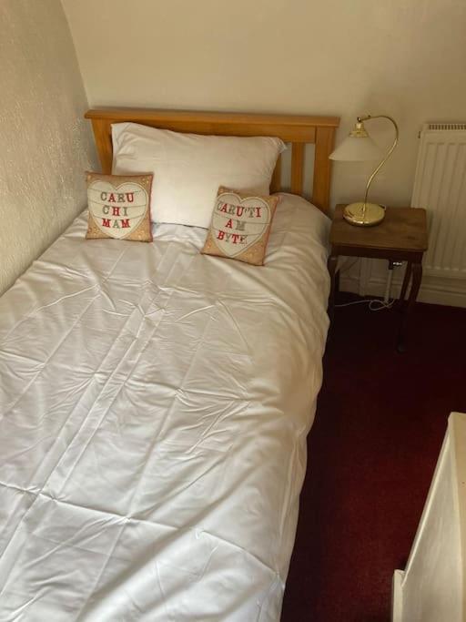 Lovely Peaceful 2 Bed Cottage Llandderfel Exterior photo